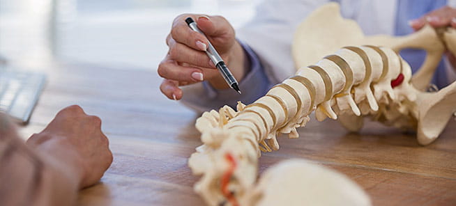 Doctor with spine model